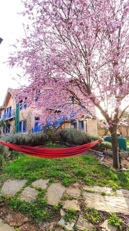 Albergue De Peregrinos Casa Flor Murias de Rechivaldo 外观 照片