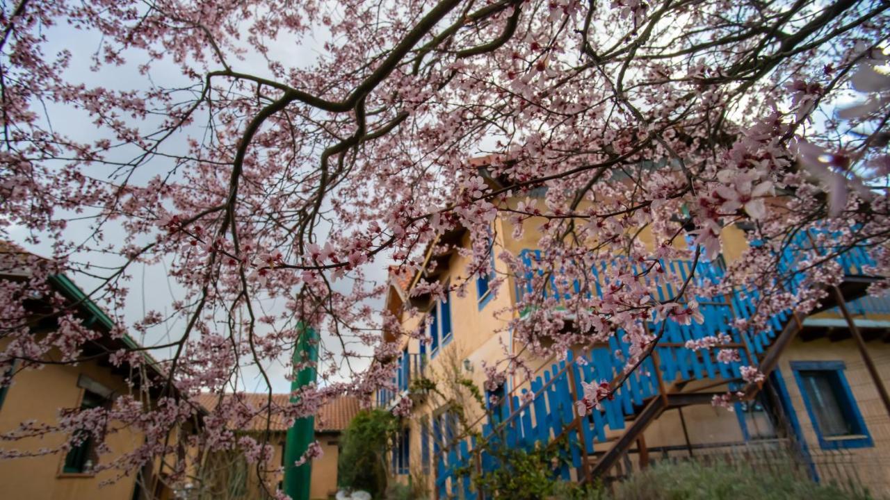 Albergue De Peregrinos Casa Flor Murias de Rechivaldo 外观 照片